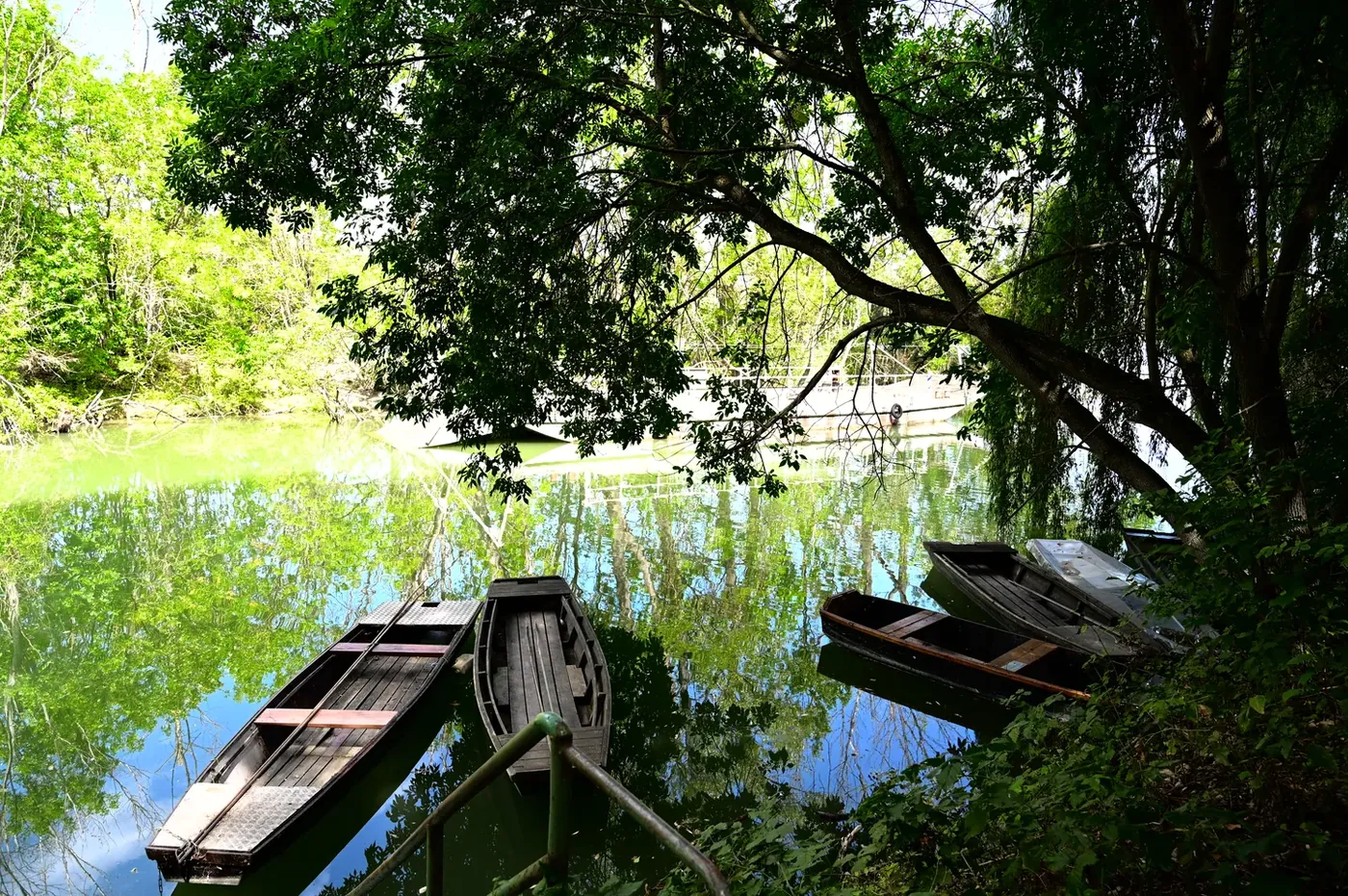 Ladikok a holtágon — Szigetköz